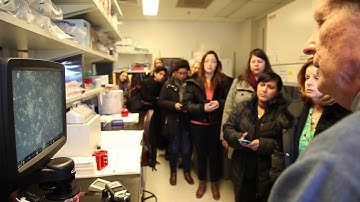 Georgetown Lombardi Cancer Center