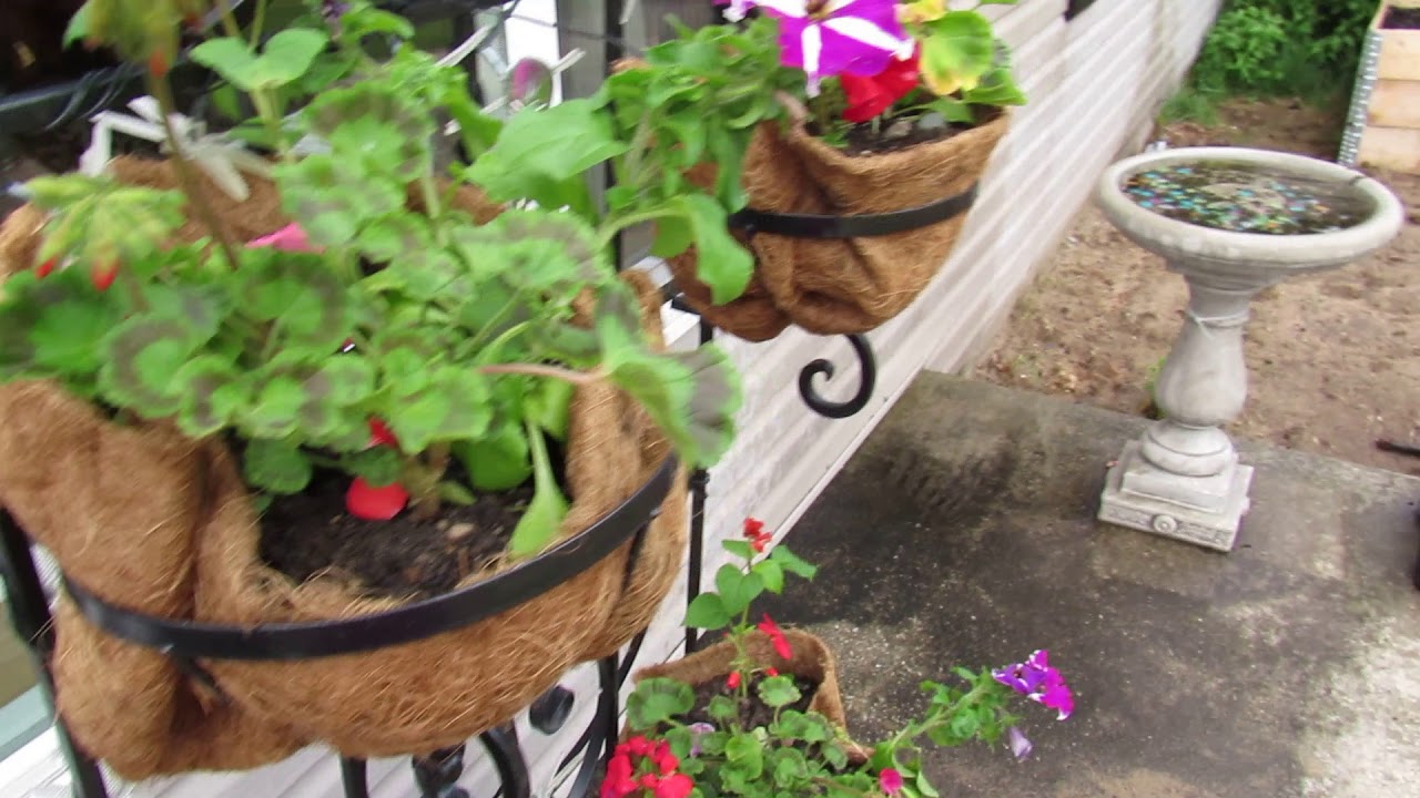 Finished Coconut Liners For Planters YouTube