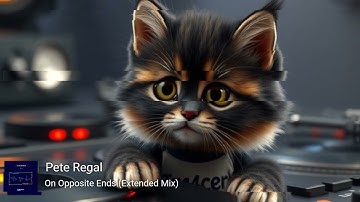 Trance Mix 🎧 Trance Music Mix 2024 💞 Episode 14 🤟