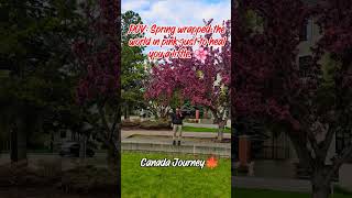 Spring time! #canadalife #canada #canadadiaries #spring