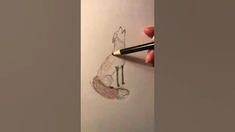 Wolf fox