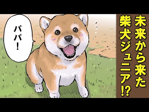 未来の柴犬に子供ができた⁉【アニメ】【漫画】