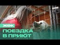 «Все любят животных, им надо помогать». Игроки ЖФК посетили приют «Ника»