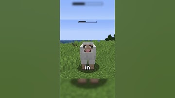 Mini Mod Reviews - Camera Mod