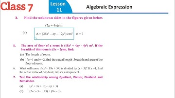4__Class 7 algebraic expression 