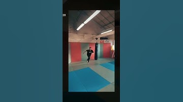 front flip dive roll