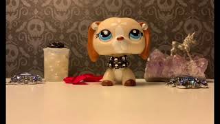 MEP part 5 for Lps•Echo