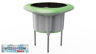 NEO Tuya 스마트 WiFi 토양 센서 태양열 식재 온도 및 습도 리뷰