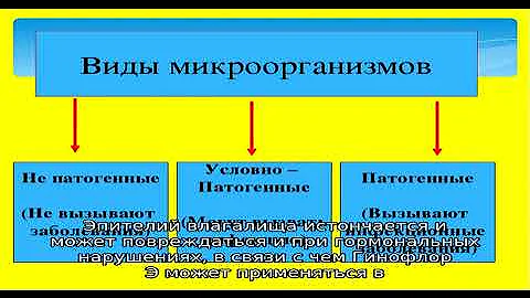 Гинофлор® Э инструкция по применению лекарственного препарата