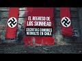 El regreso de los skinhead: secretas cumbres neonazis en Chile #ReportajesT13