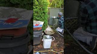 Spraying a chain link fence without wasting 90% of the paint in the air, Ottawa, ON.