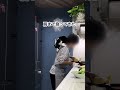 おんぶされたい猫vs料理をしたい女 #おんぶ猫ムロ #ねこ
