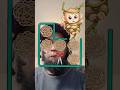 Save Monkey IQ Game/ Viral Challenge, Ketsy 1.2k! #batidao #gamingvideos #shorts #trending #batidao