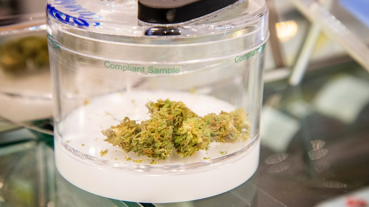 Canna Cabana is Toronto's fifth legal cannabis store