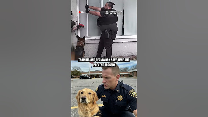 Police Dog’s Quick Thinking Prevents Disaster!