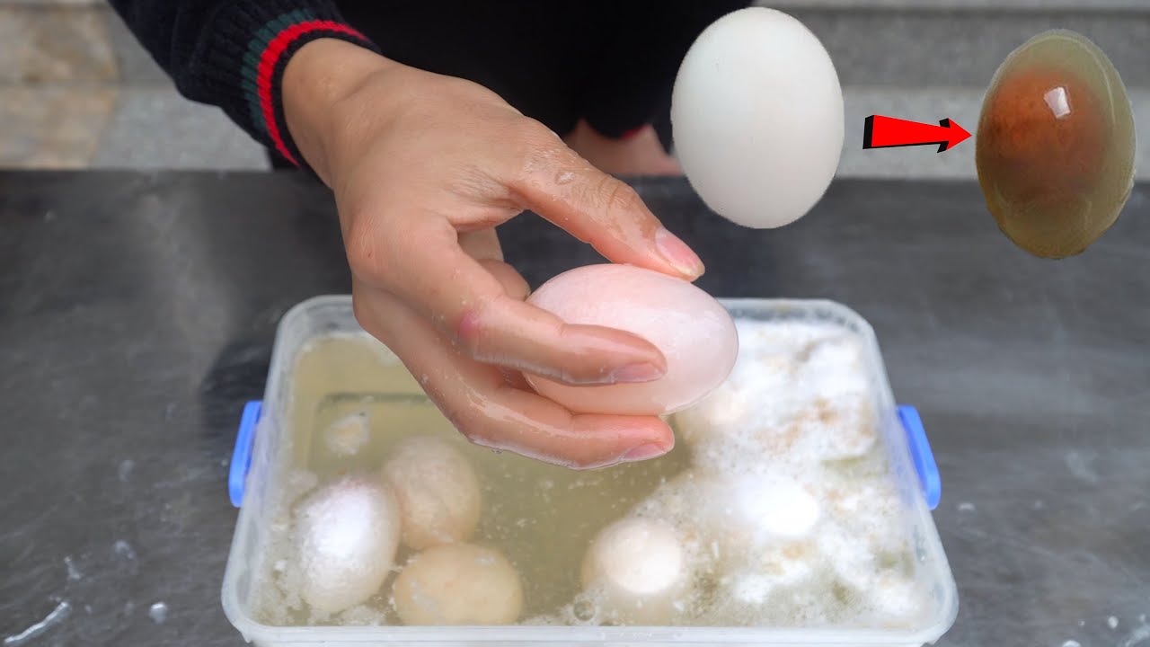 PHD Thả Quả Trứng Vào Giấm Ăn Sẽ Ra Sao? Egg In Vinegar Experiment