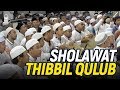 Sholawat Thibbil Qulub Qosidah Yaa Maulid Al Musthofa