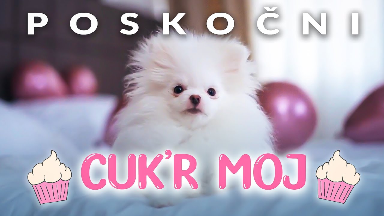 POSKOČNI - CUK'R MOJ (Official Video) 2022