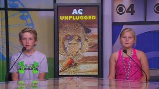 State Fair Experience Day 6 Session 31