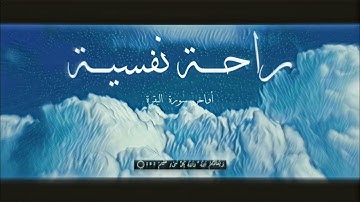 راحة نفسية - أواخر سورة البقرة بصوت القارئ الشيخ أنس العمادي