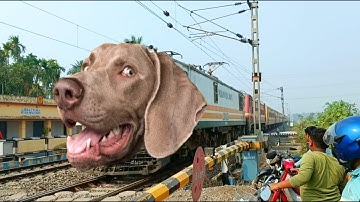 Fast & Furious DOG Headed Intercity Express Dangerous Moving Out At Railgate