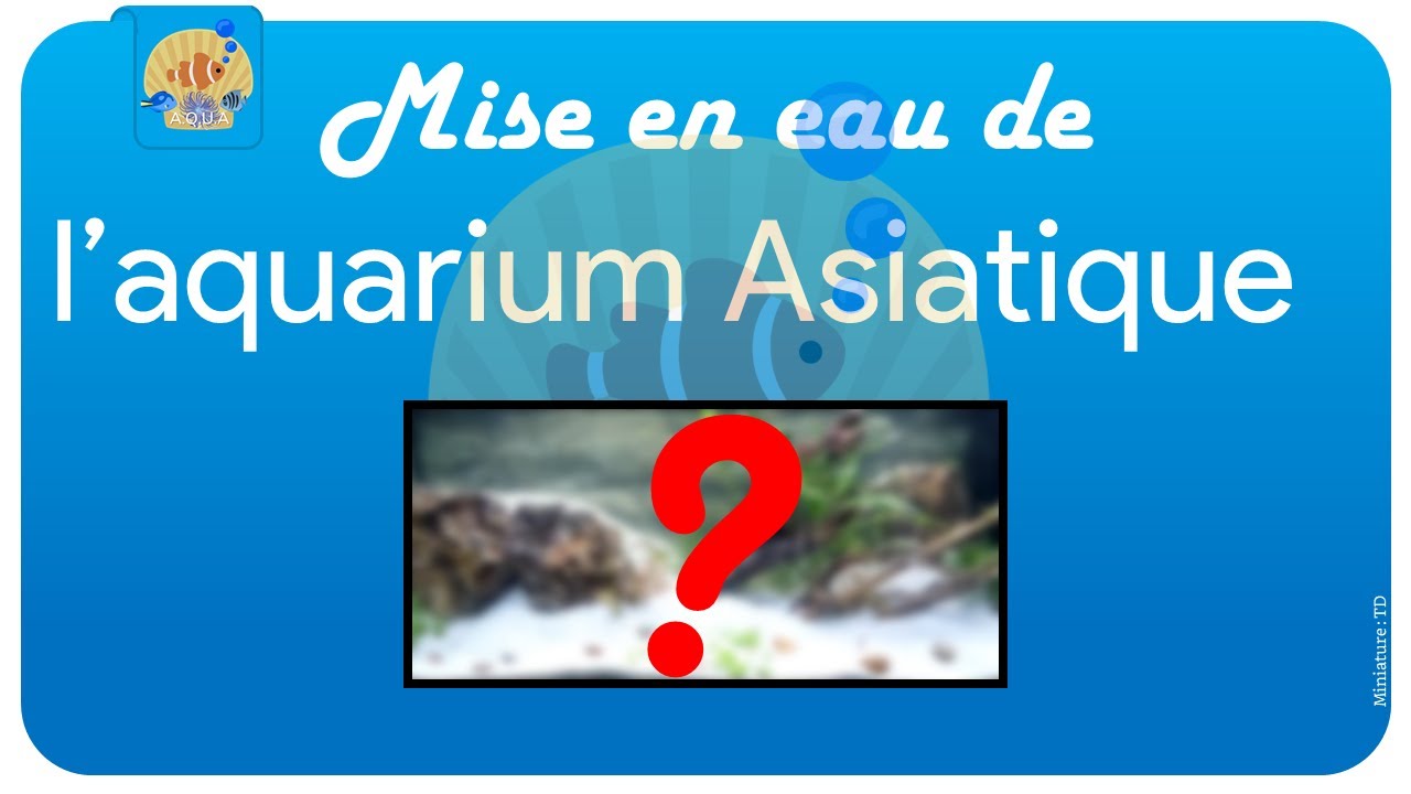 Pouzzolane lm, sur le forum de discussions FishFish Aquarium et