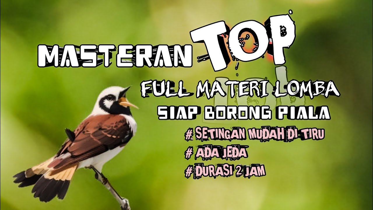 2 jam masteran TOP full materi lomba siap borong piala