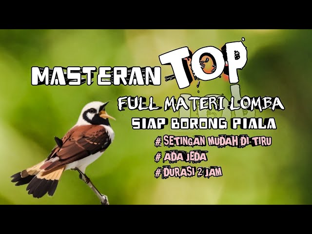 2 jam masteran TOP full materi lomba siap borong piala class=