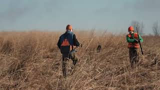 Quality Time with Father and Sons by Pine Hill Gun Dog Training 36 views 2 years ago 10 minutes, 57 seconds