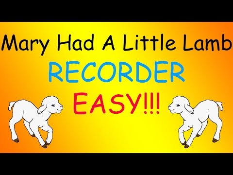 Mary Had a Little Lamb-Recorder (Easy)