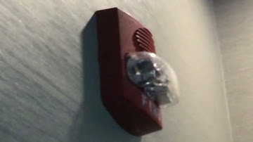 Simplex Truealert Firealarm in a hotel. No strobe horn