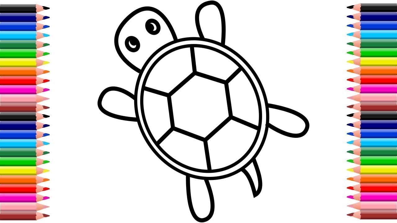 Aprende Dibujar y Pintar Una Tortuga - Videos Para Niños - Dibujos Faciles  / FunKeep Art 