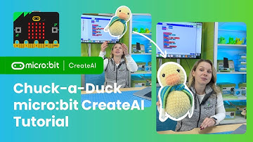 Chuck-a-Duck micro:bit CreateAI Tutorial