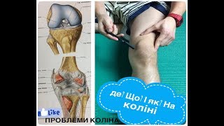 Коліно, проблеми коліна (Анатомічно орієнтаційні пункти на коліні)