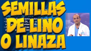 SEMILLAS DE LINO o LINAZA, sus BENEFICIOS para la SALUD y un RIESGO SEMILLAS DE LINO o LINAZA, sus BENEFICIOS para la SALUD y un RIESGO