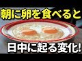朝食に卵を食べると身体に起こる変化！美容・健康効果５選！脳の活性化・ダイエットにも？効果的な食べ方は？知ってよかった雑学