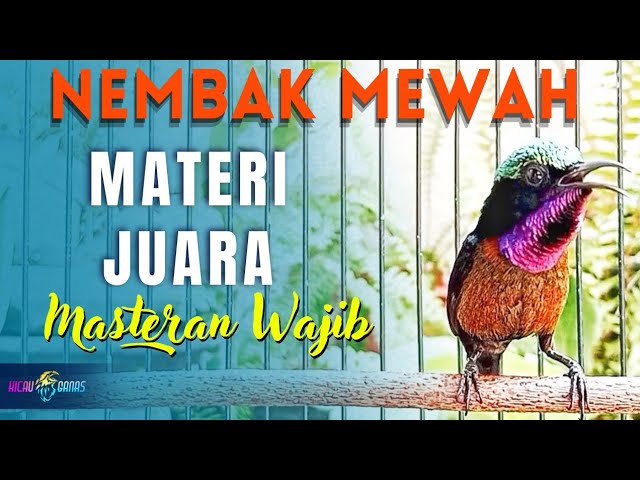 MASTERAN KONIN JUARA MATERI MEWAH FULL TEMBAK class=