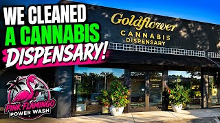 Cannabis Dispensary + 2 Houses! Pressure Washing Tampa
