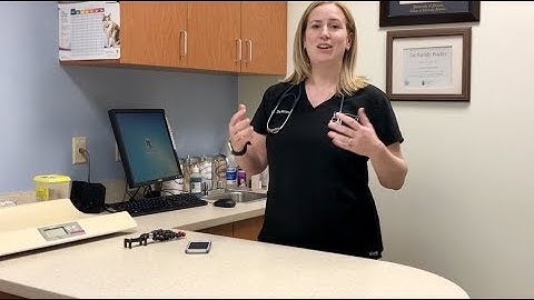 How to: Make a great veterinary clinic video