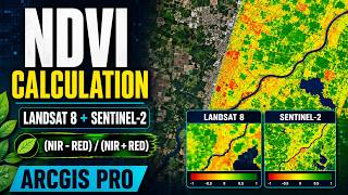 How to Calculate NDVI in ArcGIS Pro Using Landsat 8 & Sentinel-2 | Vegetation Mapping