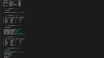 Employee Tracker Demo Video