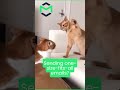 Dynamic email content exists for a reason!