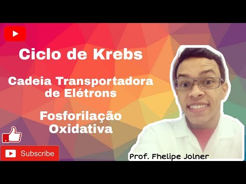 Entenda o Ciclo