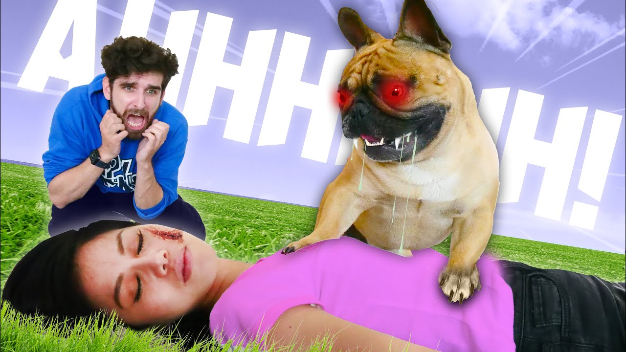 IS MY DOG EVIL? Rescuing YouTuber Daniel's Dog Douglas After Trapped for 3 Years