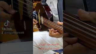 تقاسيم عود كهربائي صناعة ثروت صابر و أولاده