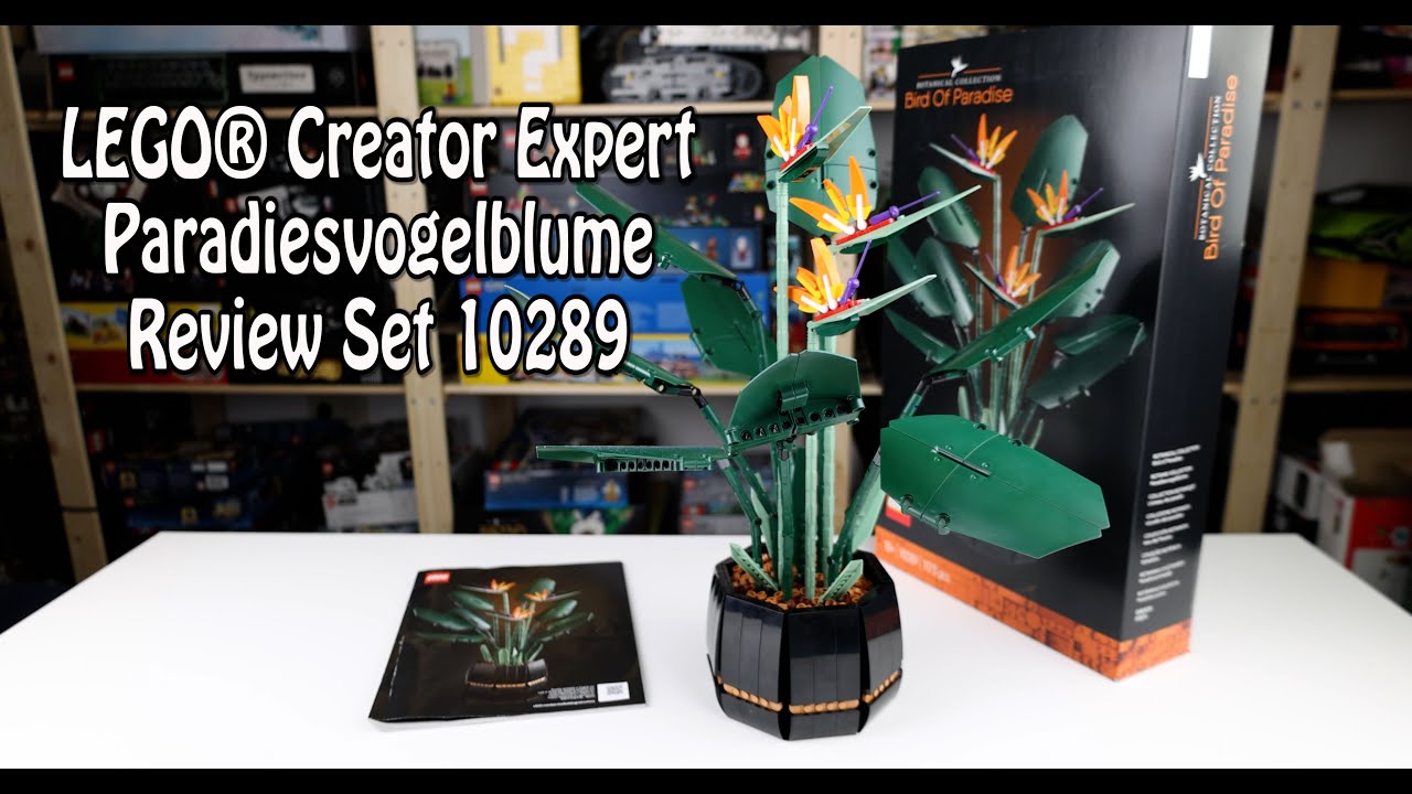 Review LEGO Paradiesvogelblume (Creator Expert Set 10289)
