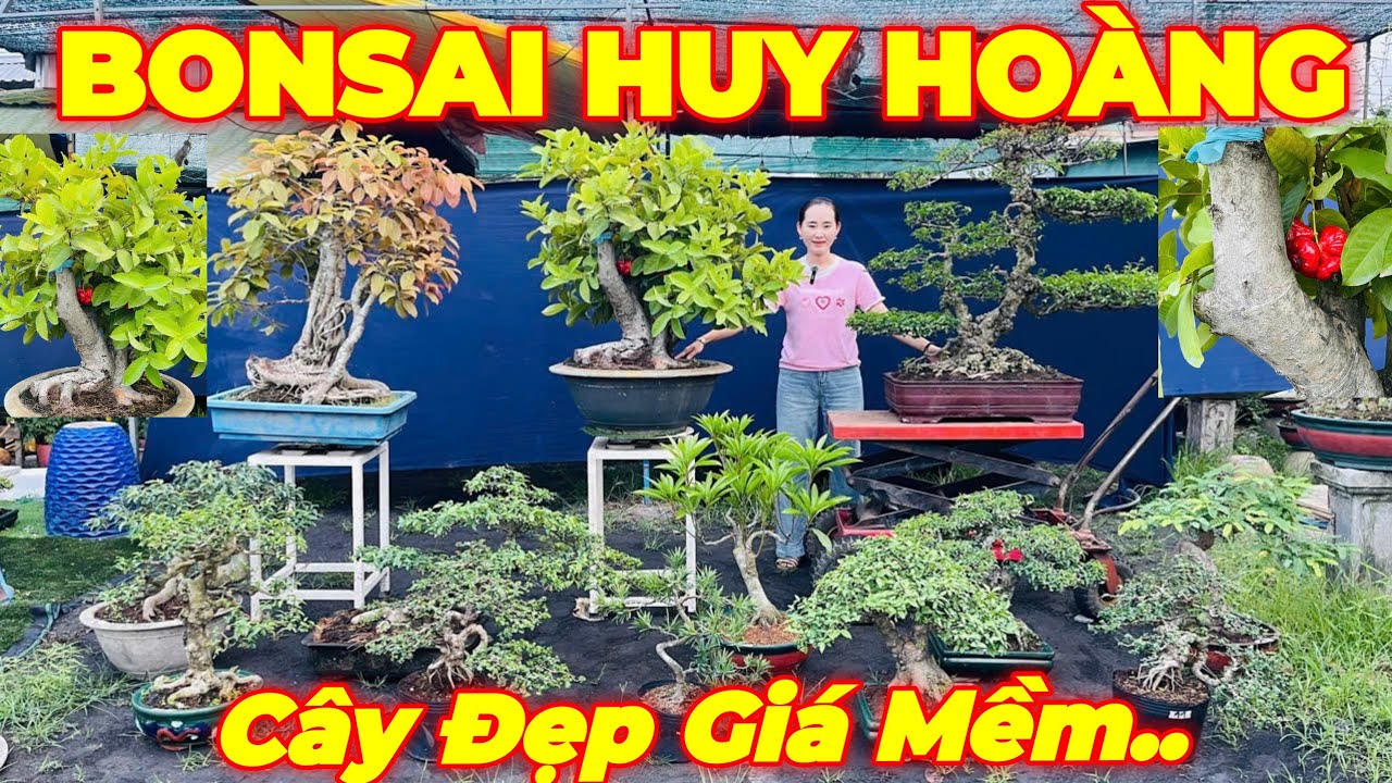 DIỆU HUY | #0939081082 | ĐẸP GIÁ MỀM MẬN HOÀNG YẾN, TÚC ĐỎ, MCT NU GÒ CÔNG, ME, LÊKIMA, SAM TRÁI, ỔI