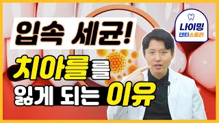치아를 잃게 되는 이유(충치,잇몸질환,치아손상) - 나이밍 덴티스트
