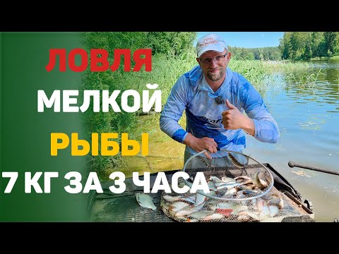 ловля мелкой рыбы