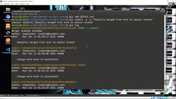 3.3.11 Lab - Software Version Control with Git